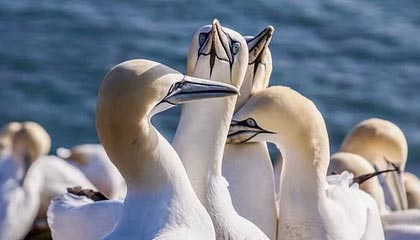 火狐电竞官方网站——带你开启极致电竞体验