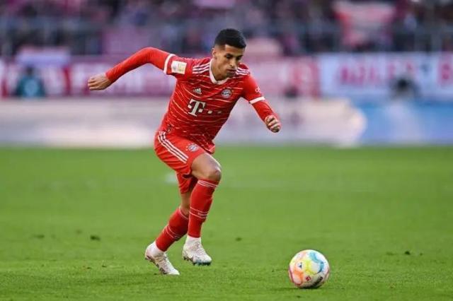 1685377430809054232.jpg 坎塞洛(1).jpg